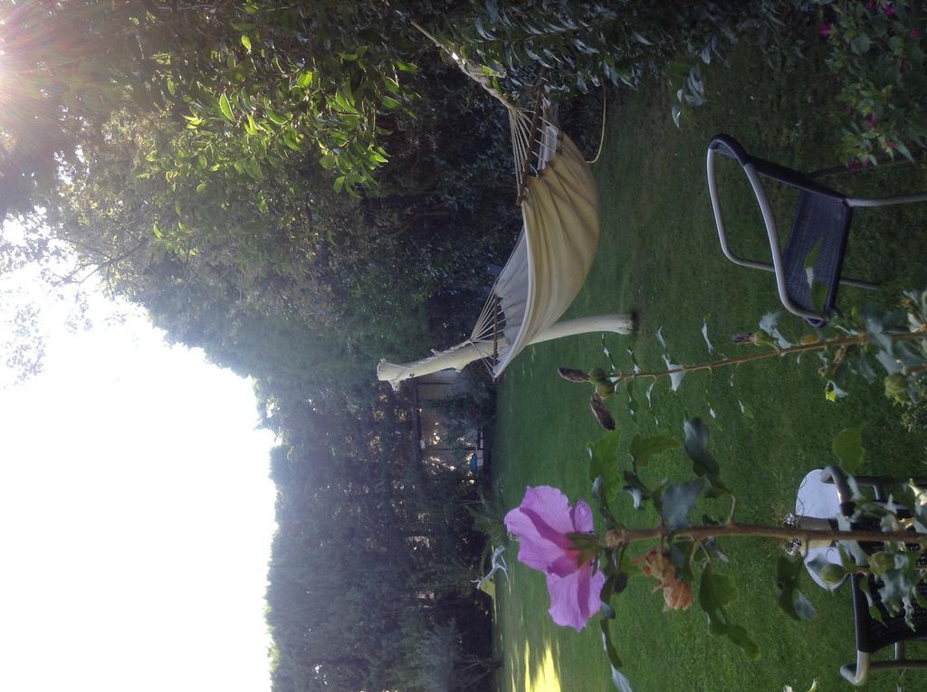 La Demeure Bed & Breakfast Eyguieres Exterior photo
