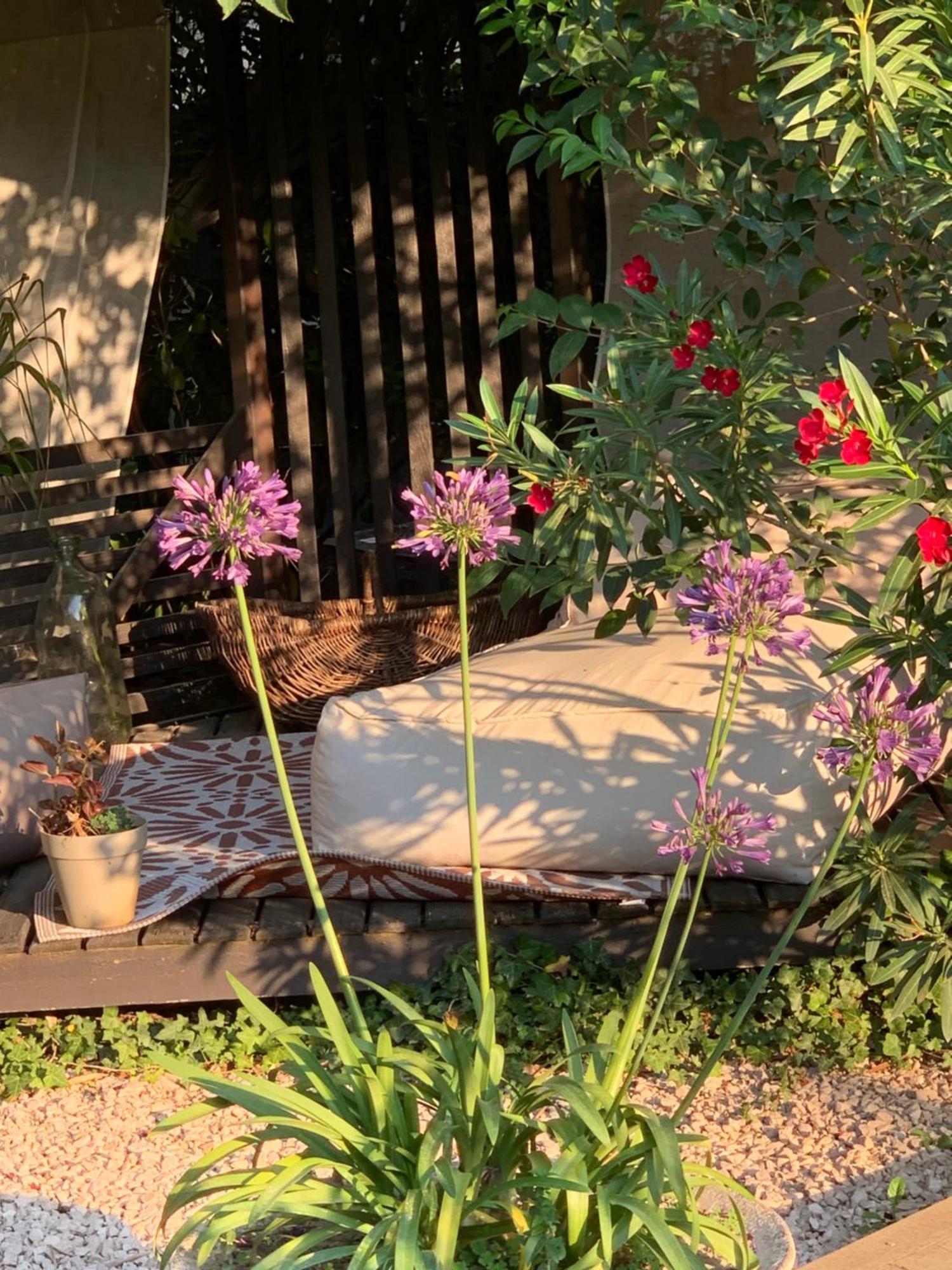 La Demeure Bed & Breakfast Eyguieres Exterior photo